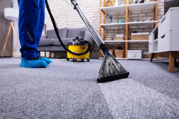 <h2>Your Trusted Carpet Cleaning Experts in Los Angeles</h2>
<p>Welcome to <strong>24 Los Angeles Ca... <h2>Your Trusted Carpet Cleaning Experts in Los Angeles</h2>
<p>Welcome to <strong>24 Los Angeles Ca...